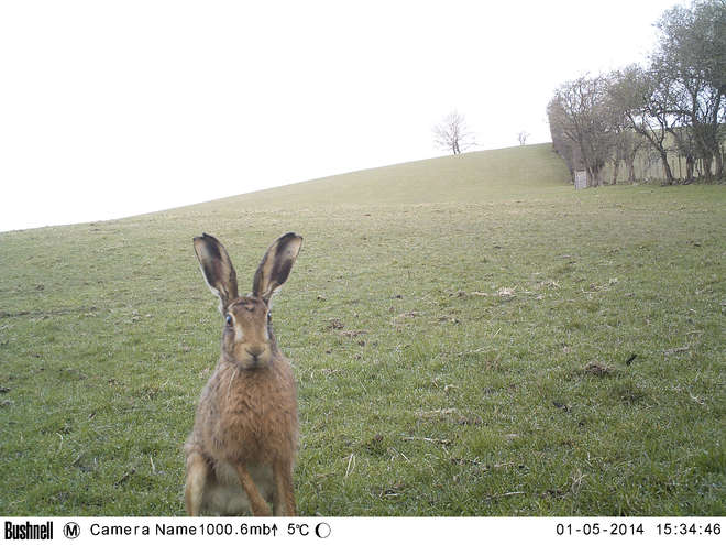 M2E56L198-198R408B314