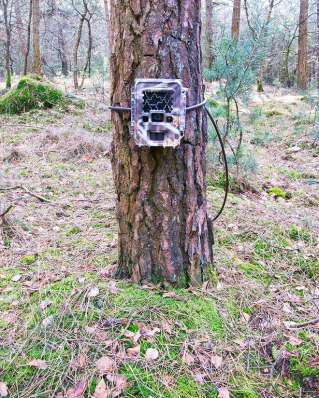 camera-trap-1