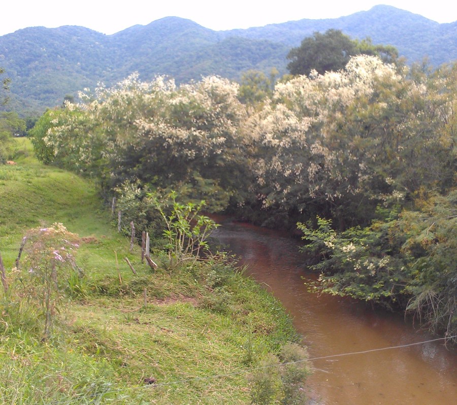 fig-5-clean-camboriu-river-entering-floodplain.jpg
