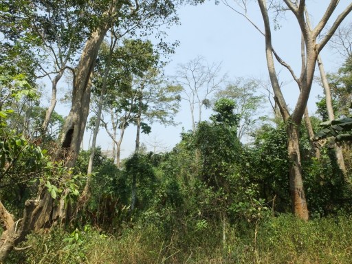 Well-wooded farmland (John Mallord)