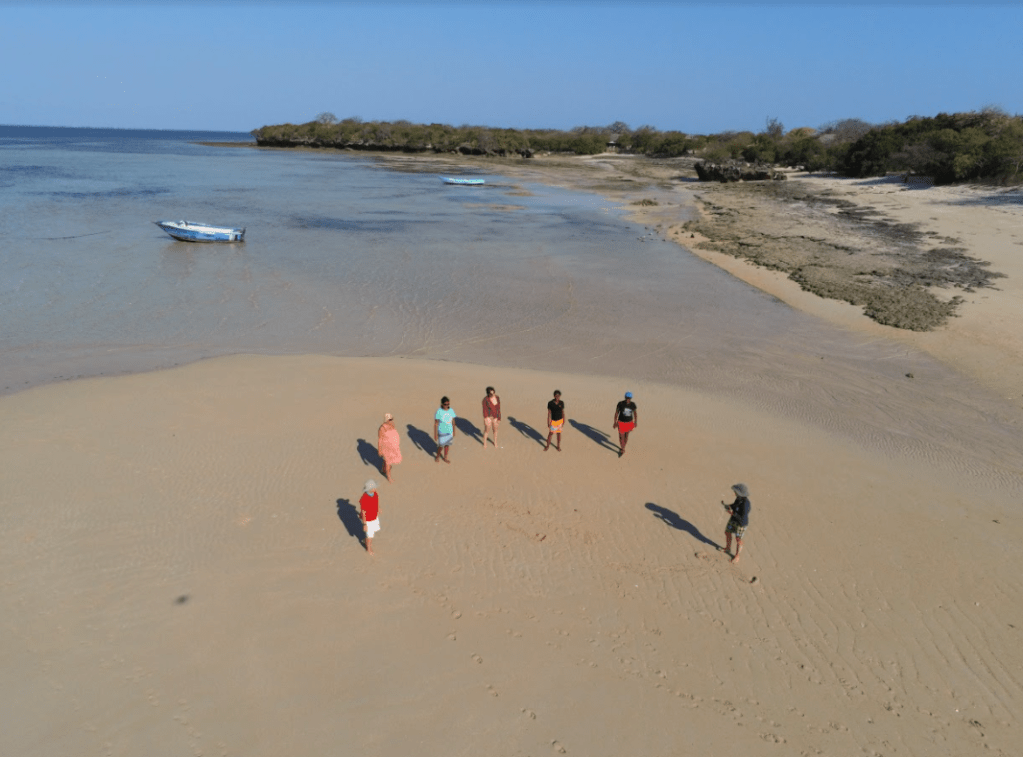 Image of the team on a beach