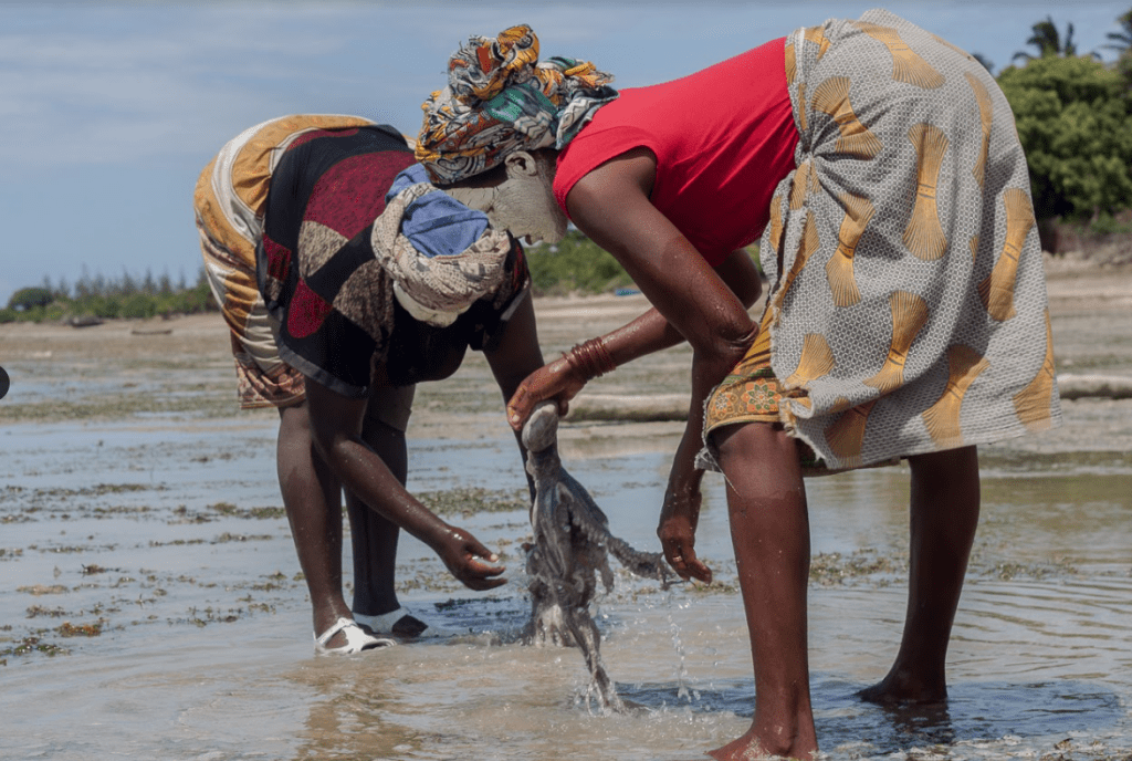 Women fishing squid